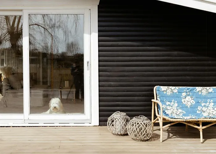 Scandinavian Style And View In Oasis